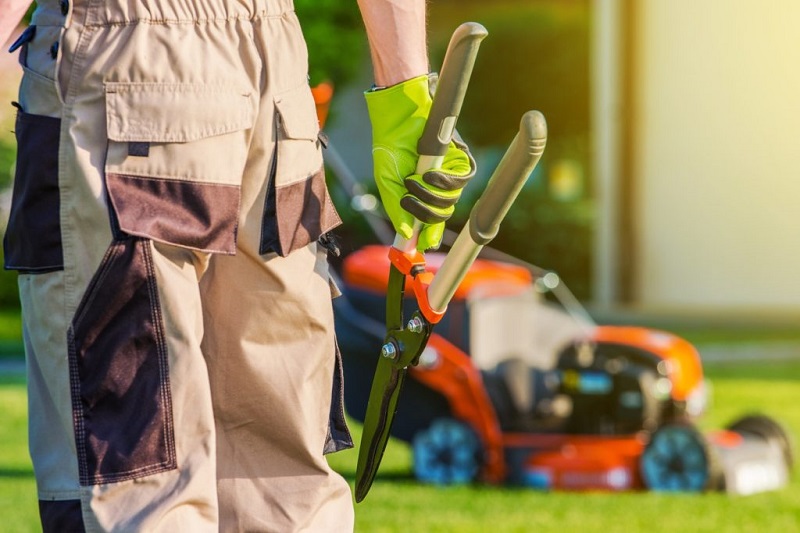 7 Reasons Why You Should Hire a Professional Landscaper