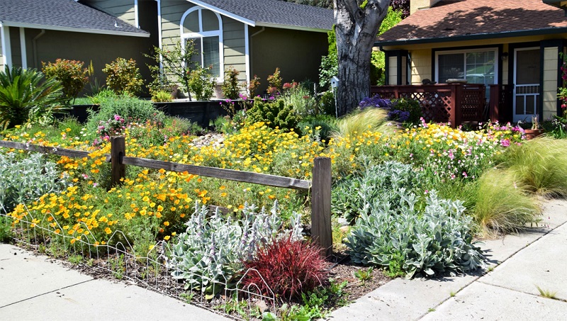 How to handle your garden in the early spring in Antioch, CA