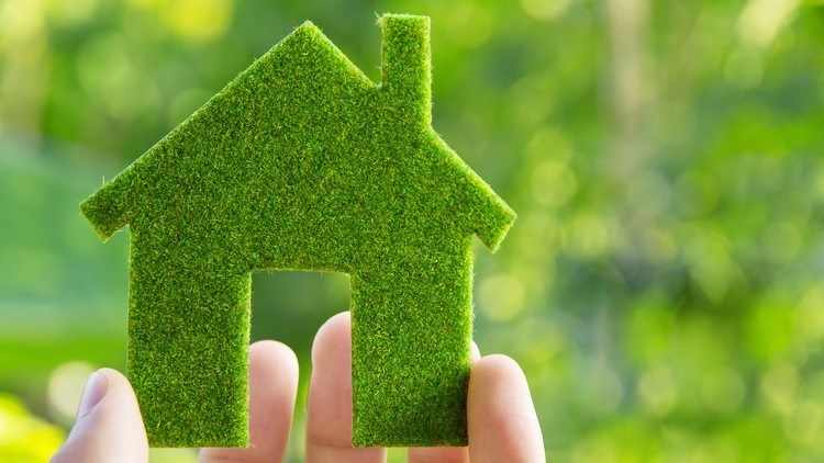  Environmentally Friendly Changes to Make In Your Home