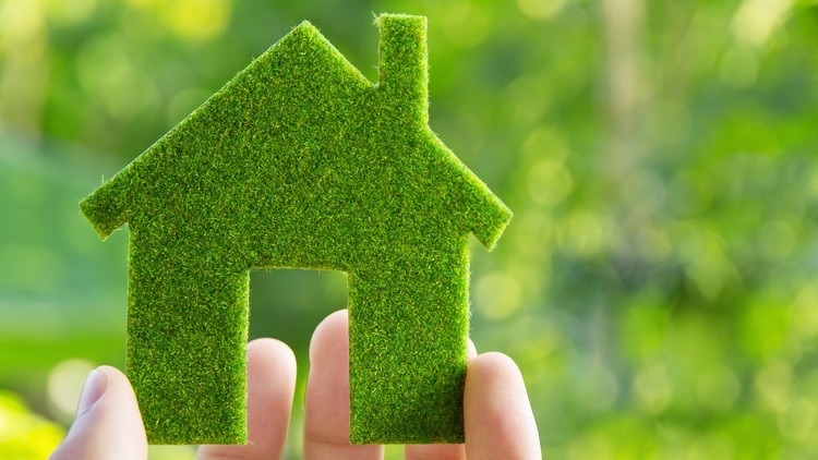 Environmentally Friendly Changes to Make In Your Home