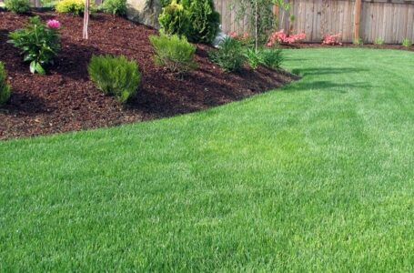 What Is The Difference Between Lawn Care And Landscaping?
