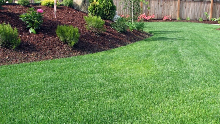  What Is The Difference Between Lawn Care And Landscaping?