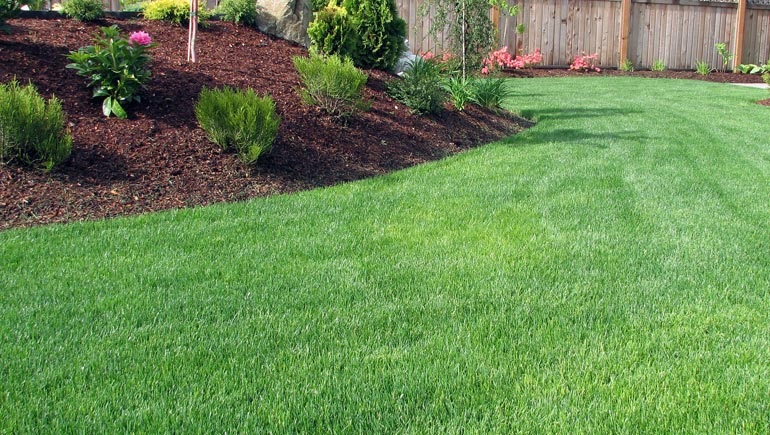 What Is The Difference Between Lawn Care And Landscaping?