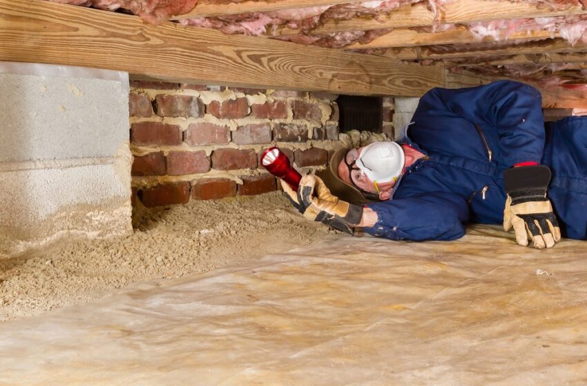 Preventive Termite Inspection And How Frequently Should You Schedule Them?