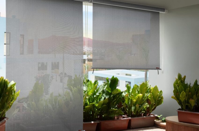  What are the features of Roller blinds?