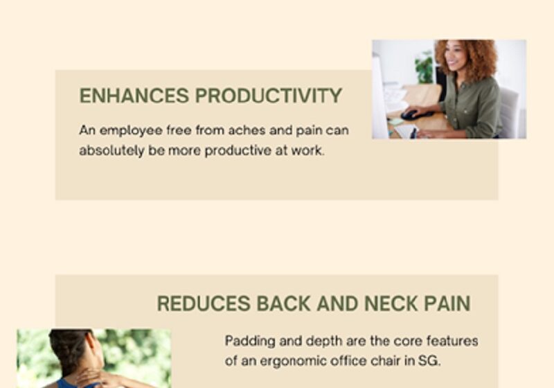 The Best 5 Health Benefits Of Ergonomic Office Chairs In Singapore