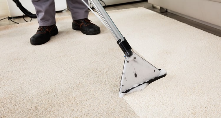 How To Take Good Care Of Your Office Carpet?