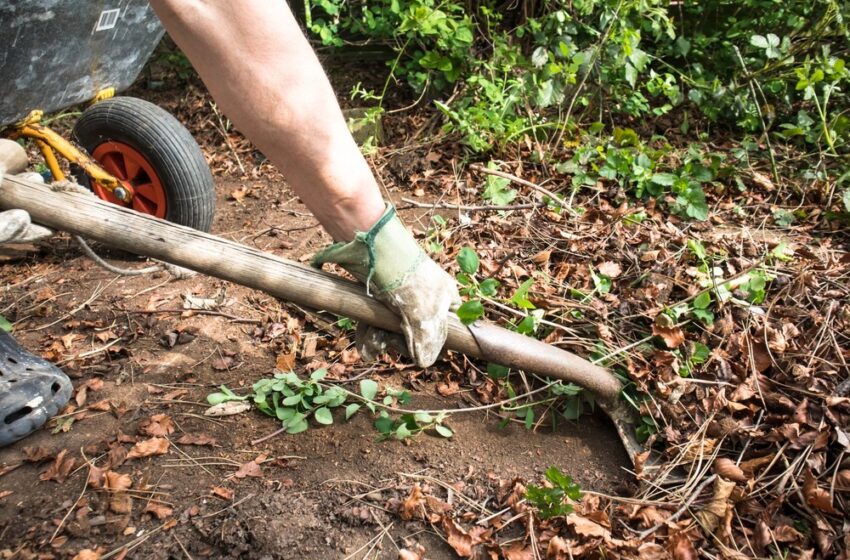 How to Get Rid of Large Garden Waste?